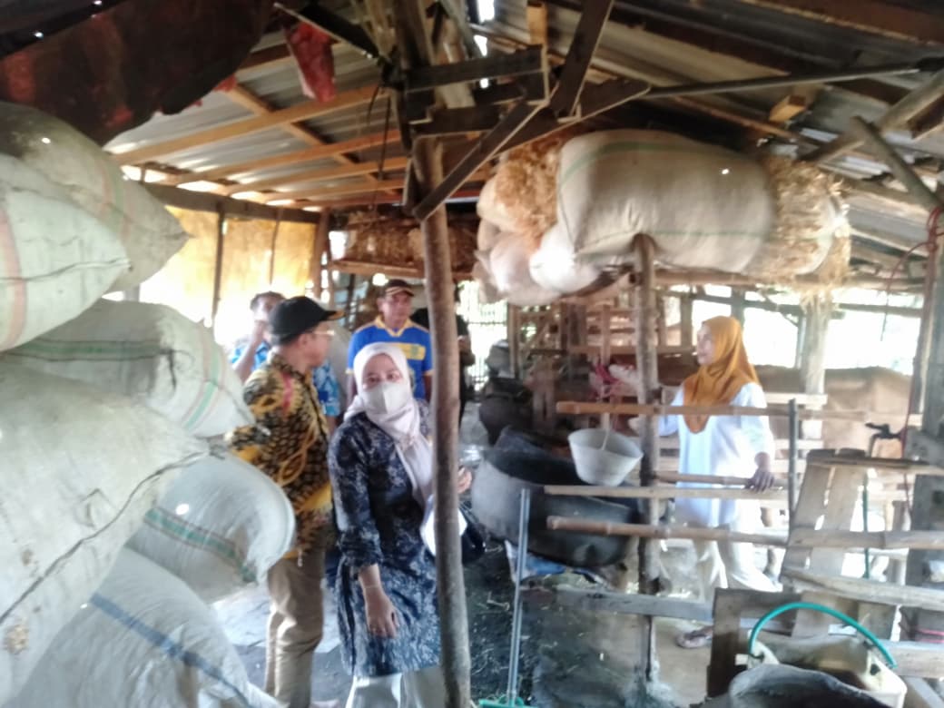 WhatsApp Image 2025 10 31 at 10.13.07